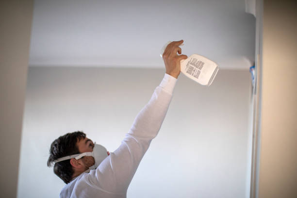 Best Fast Mold Removal  in Boonville, CA