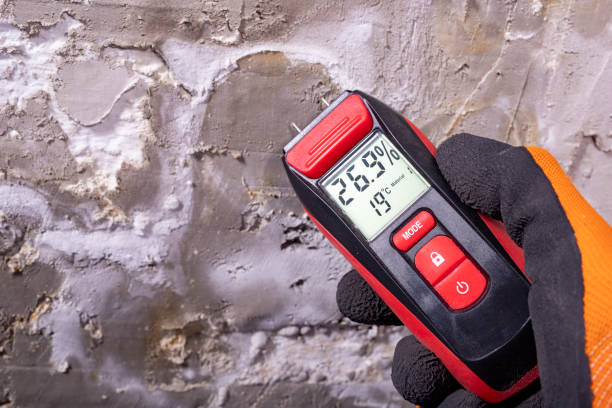 Best Mold Testing  in Boonville, CA